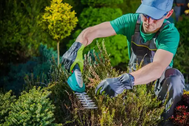 landscaping services Weir